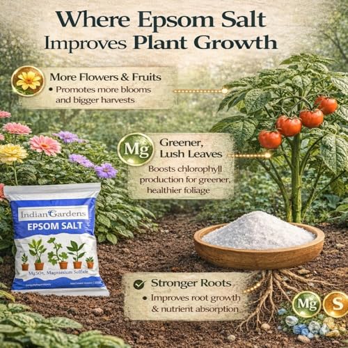 Image of Indian Gardens - Epsom Salt for Plants | Magnesium Sulphate Fertilizer | Promotes Greener Leaves & Growth | Controls Yellowing - 9800 Grams