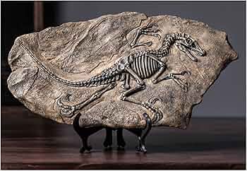 恐竜の化石 ナイフ 登録証付き 恐竜の化石 ナイフ 登録証付き