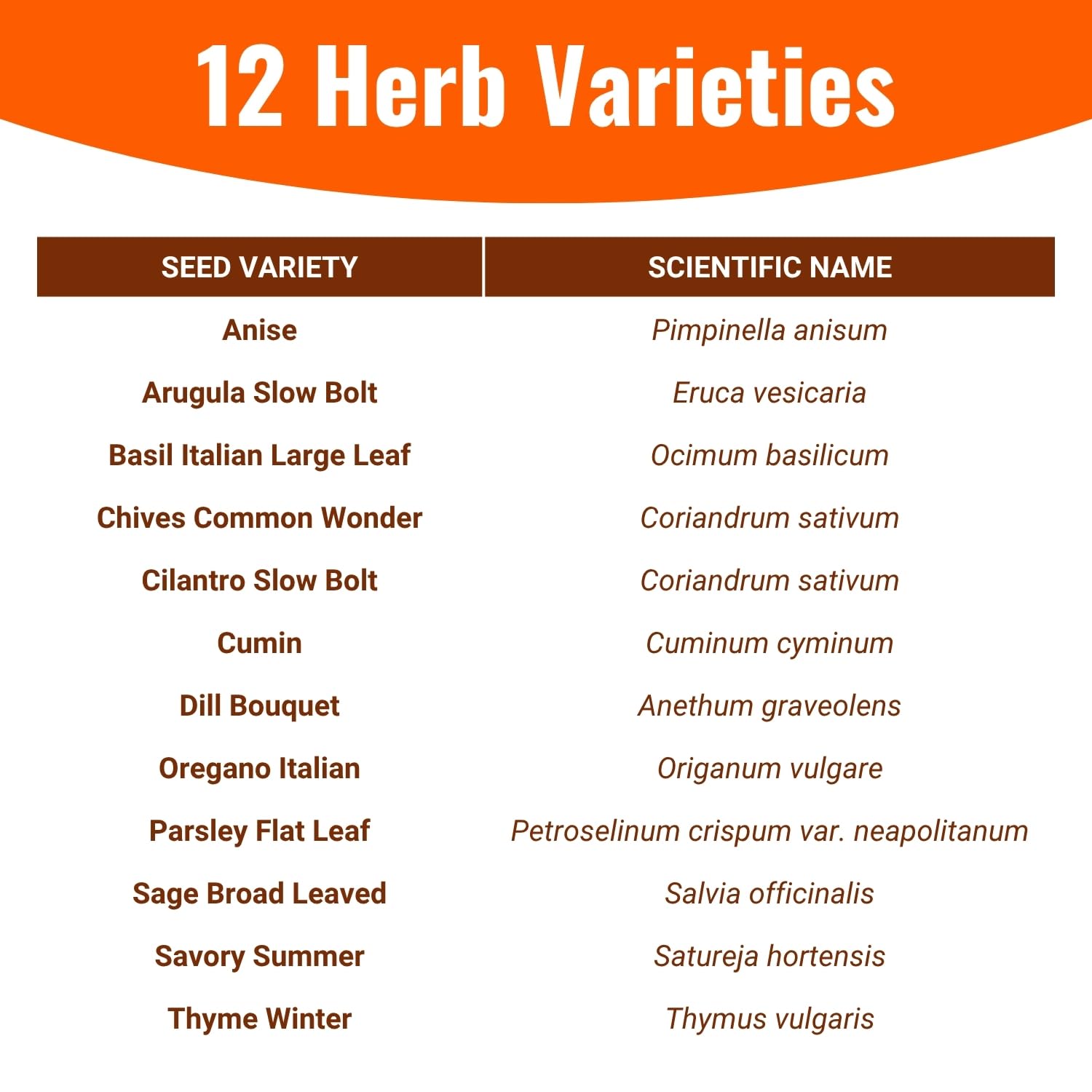 Open Seed Vault | 4,000 Heirloom Seeds | 12 Variety Pack of Herb Seeds | 2026 Season | Non GMO Vegetable and Fruit Seeds | Planting Outdoor & Indoor Garden | Gardening Starter... - Image 7
