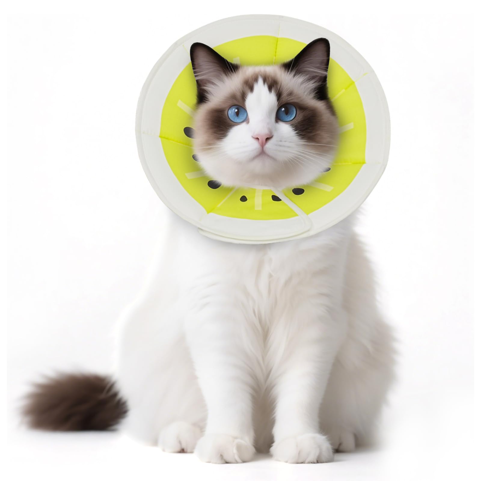 Supet Halskrause Katze Weich – Einstellbarer Halsband für nach Operation, Sterilisation & Hautpflege – Komfortabler, Waschbarer Katzenkragen – Für Haustiere in S/M/L (Grüne Kiwifrucht, S)