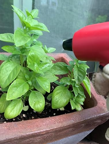 Miniatura 4 de Ortho El pulverizador portátil alimentado por batería AA se ajusta de cono a flujo