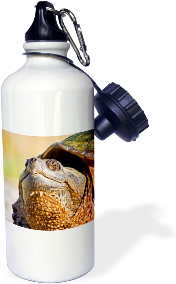 3dRose "New Jersey, Great Swamp NWR. Common Snapping Turtle US31 JGL0028 Jim Gilbert" Sports Water Bottle, 21 oz, White