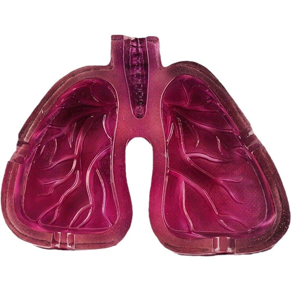 Lpitoy As Shown Resin Ashtrays Human Lung Shaped Ashtrays Cigar Cigarette Stand Holder Living Room Ornaments For Home