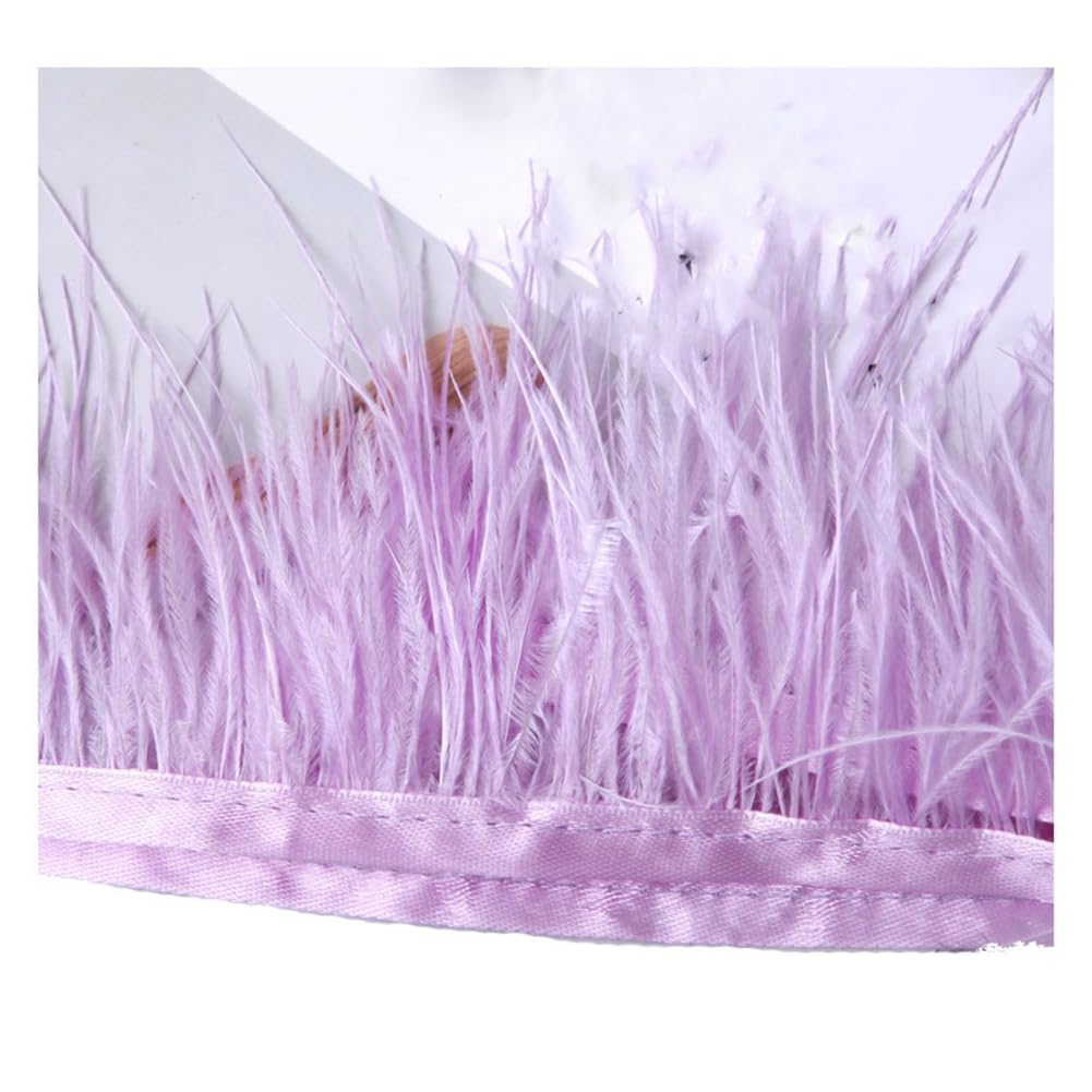 Yurosiay 1 m Feather Fringe Trim 8-10 cm Wide Natural Fluffy Ostrich Feathers Border Feather Fringe with Satin Ribbon Feather Fringe Ribbon for Sewing Feather Fringe Trim for Crafts Dresses Light