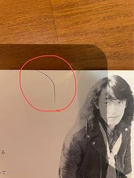 貴重自主制作1000枚限定ソノシート スピッツ 鳥になって Spitz レコード 貴重自主制作1000枚限定ソノシート スピッツ 鳥になって Spitz