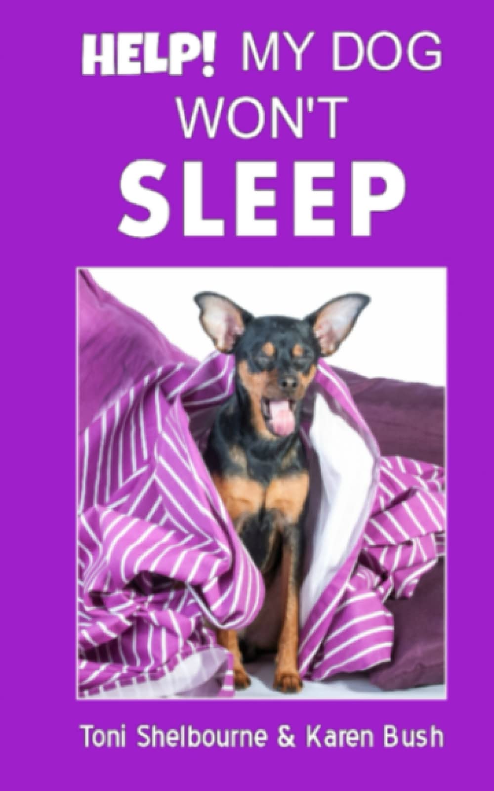 HELP! My Dog Won't Sleep