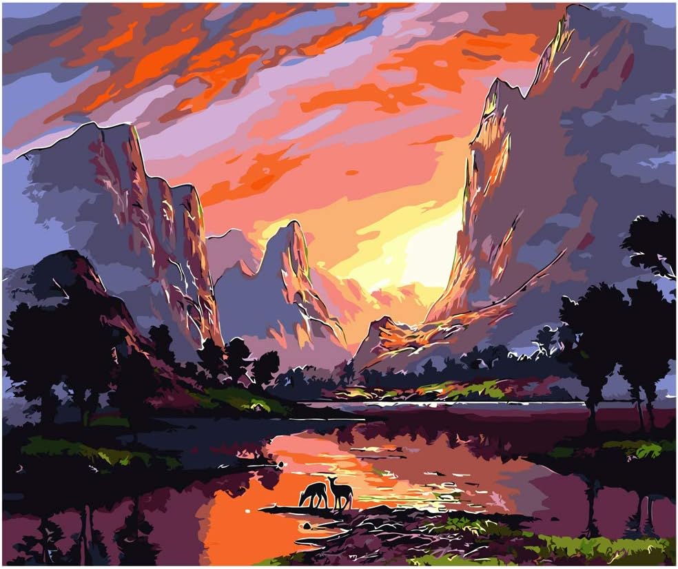 Various Landscape Series Paint by Numbers for Adults Kids Beginners Easy Acrylic on Canvas 16x20 inch with Paints and Brushes, Sunset and Landscape(Without Frame)