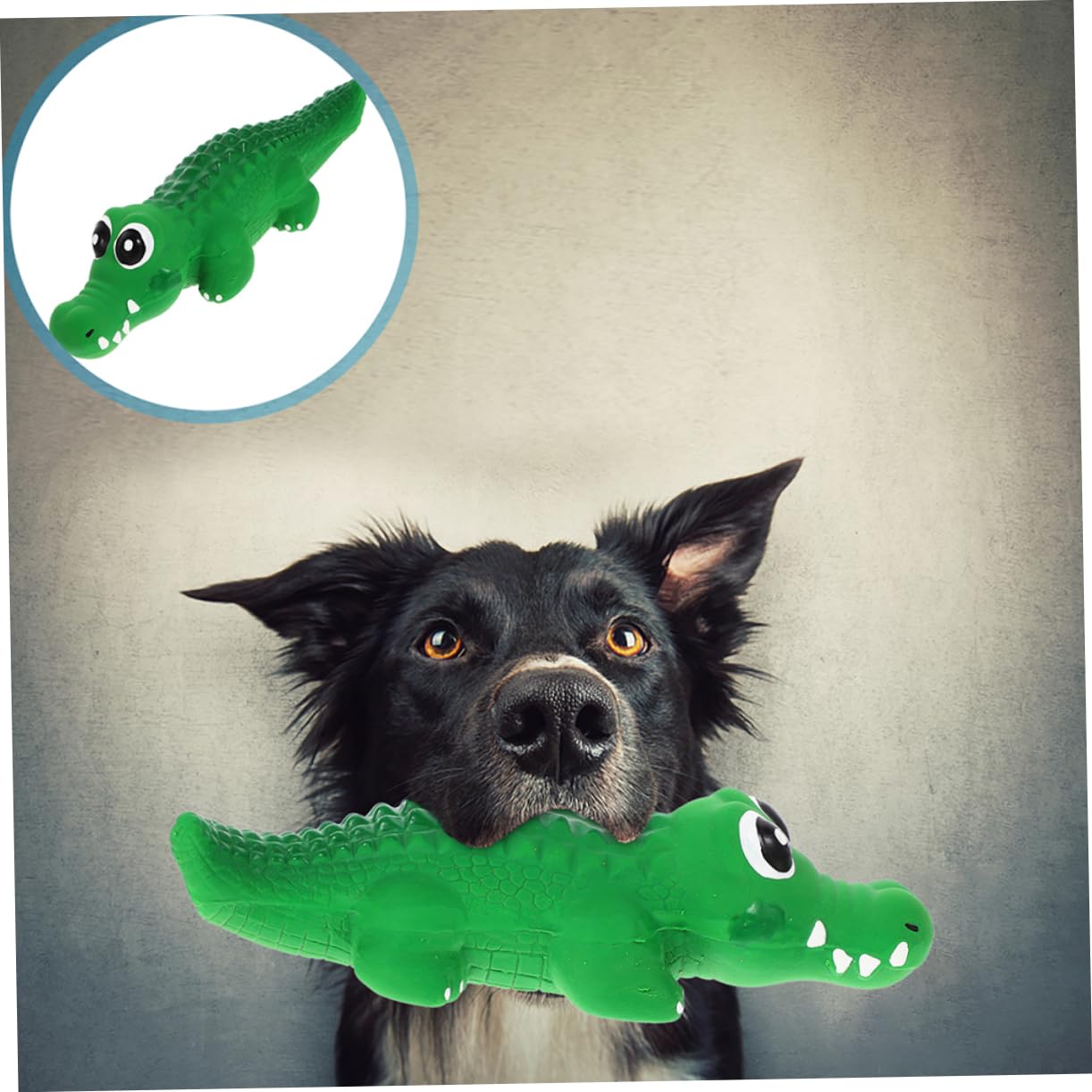 INOOMP 10pièces Jouet à Mâcher pour Chien Jouet Squeaky Interactif Forme De pour Chiots Et Petits Chiens
