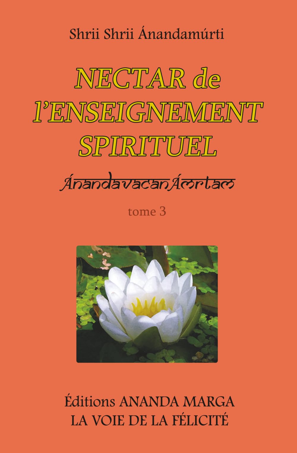 Nectar de l'Enseignement spirituel tome 3