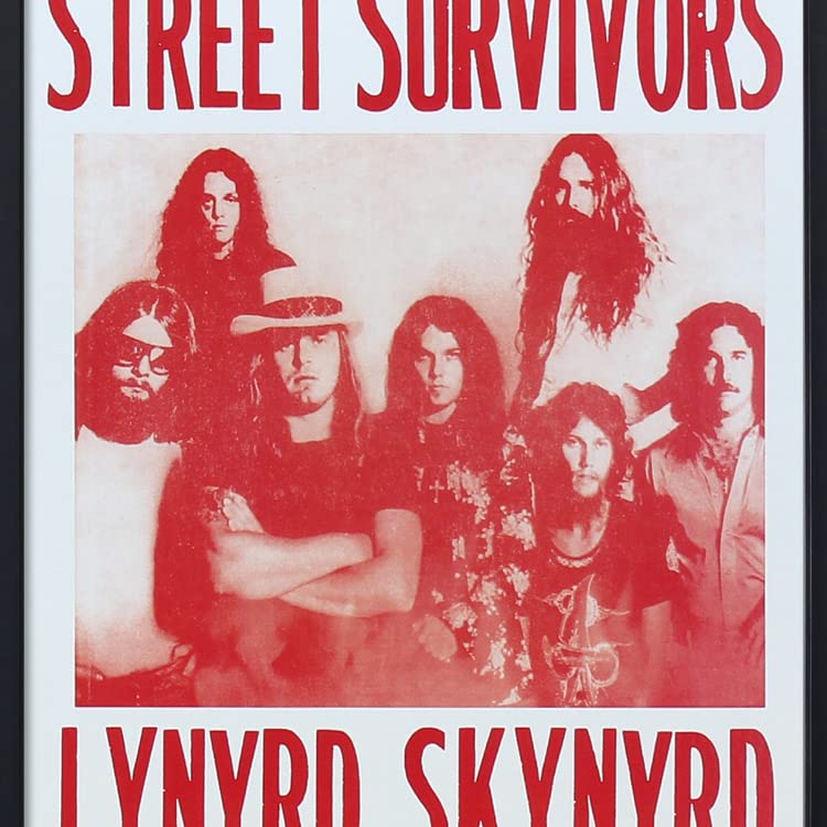 Amazon.co.jp: 額入りバンドポスター LYNYRD SKYNYRD レーナード