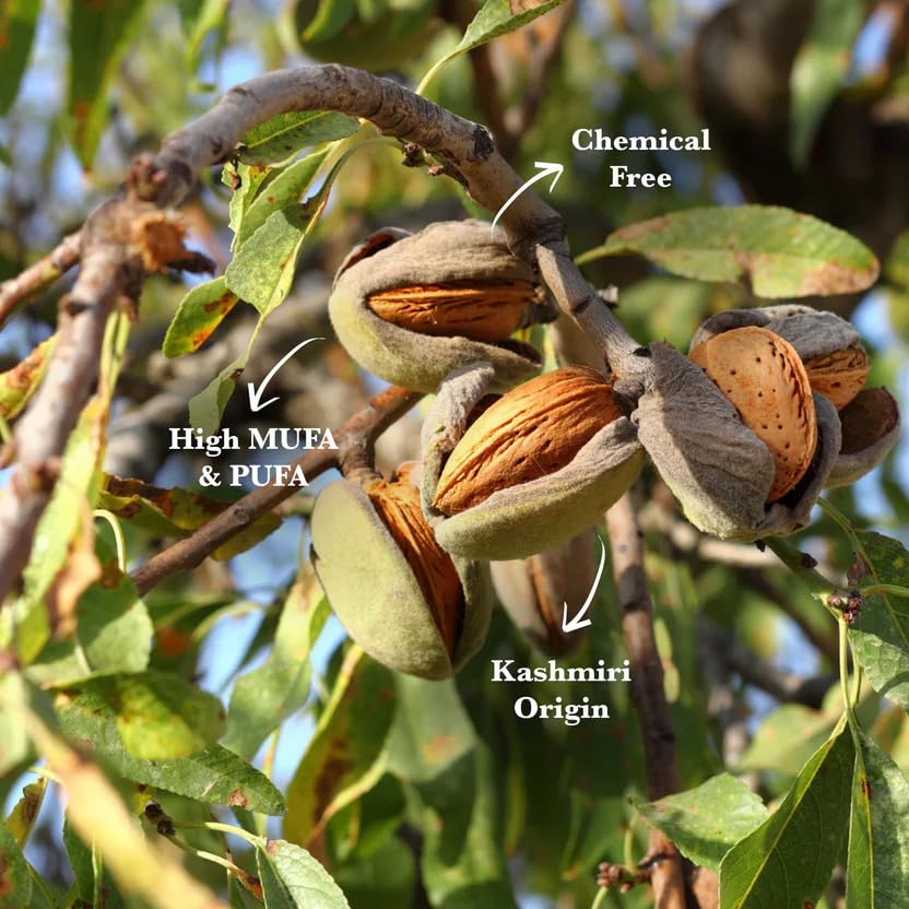 Image of Nectardale Kashmiri Mamra Almonds 250g | Premium Natural Mamra Badam | Crunchy, Rich & Nutritious Almonds | Healthy Dry Fruit Snack for Daily Wellness