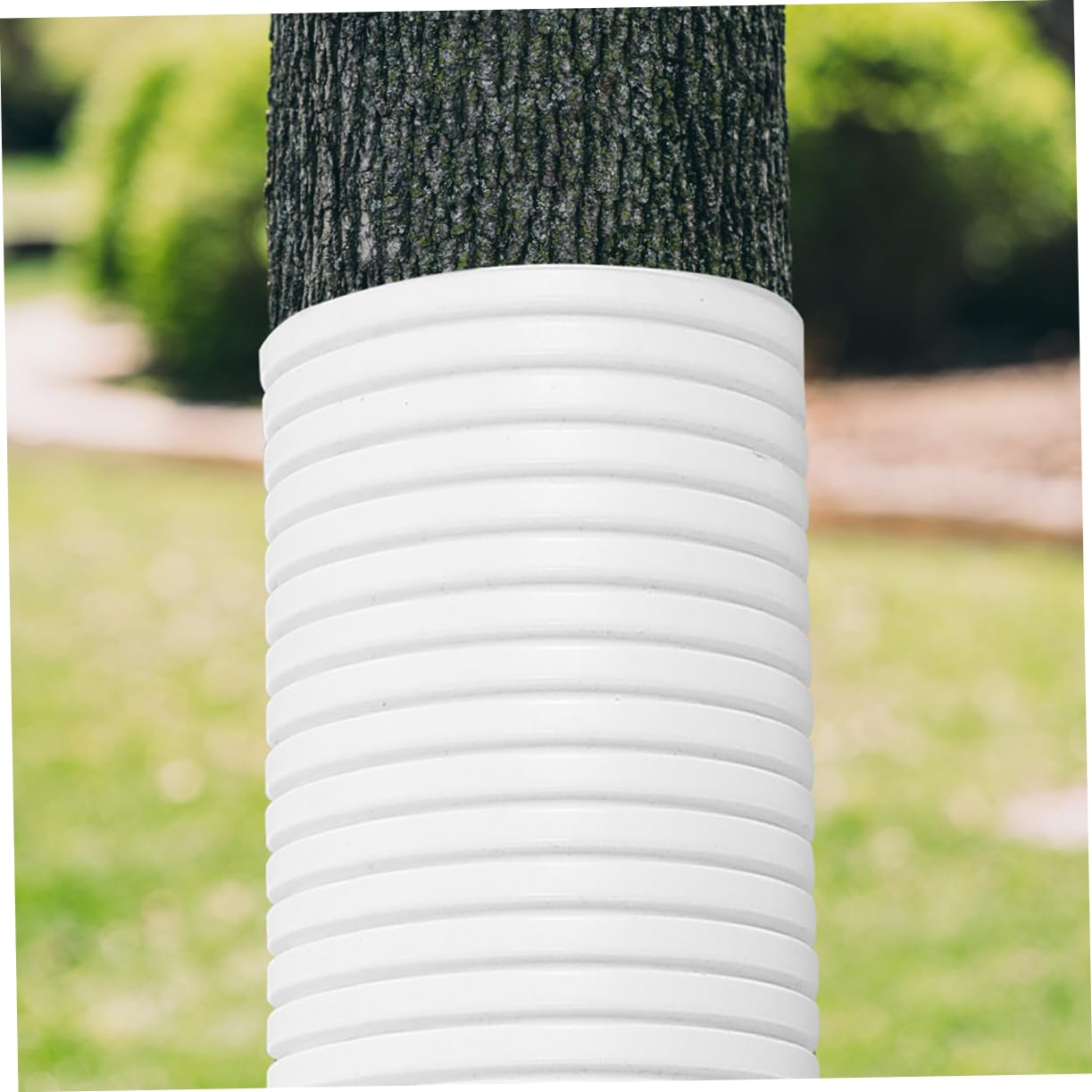 Toddmomy 6 Pezzi Coperture Flessibili per Tronchi D'albero in Plastica per Difendere La Superficie da Cervi, Conigli, Scoiattoli e Altri Animali per Uso Esterno