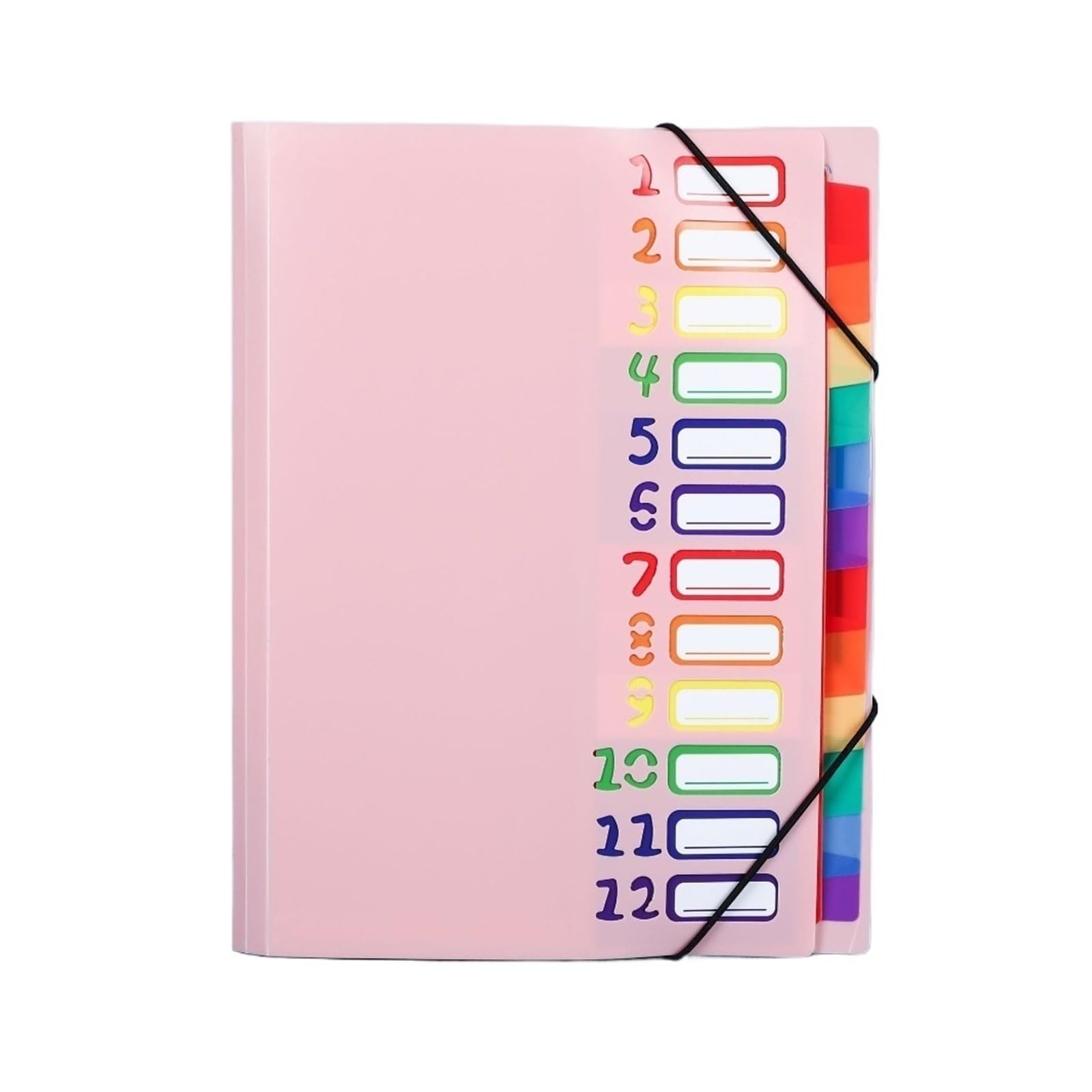 Organizer per documenti, Organizer for file in PP con fascia elastica A4 12 tasche