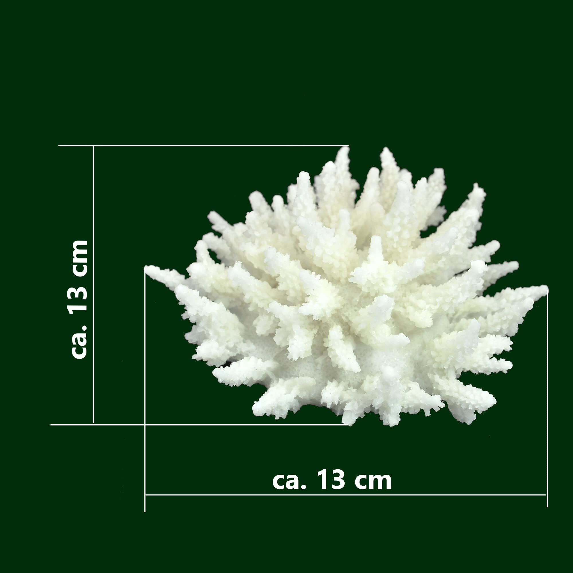 Steinkoralle, 13x13x8 cm, SPS, Acropora, Salz Aquarium Korallen Nachbildung