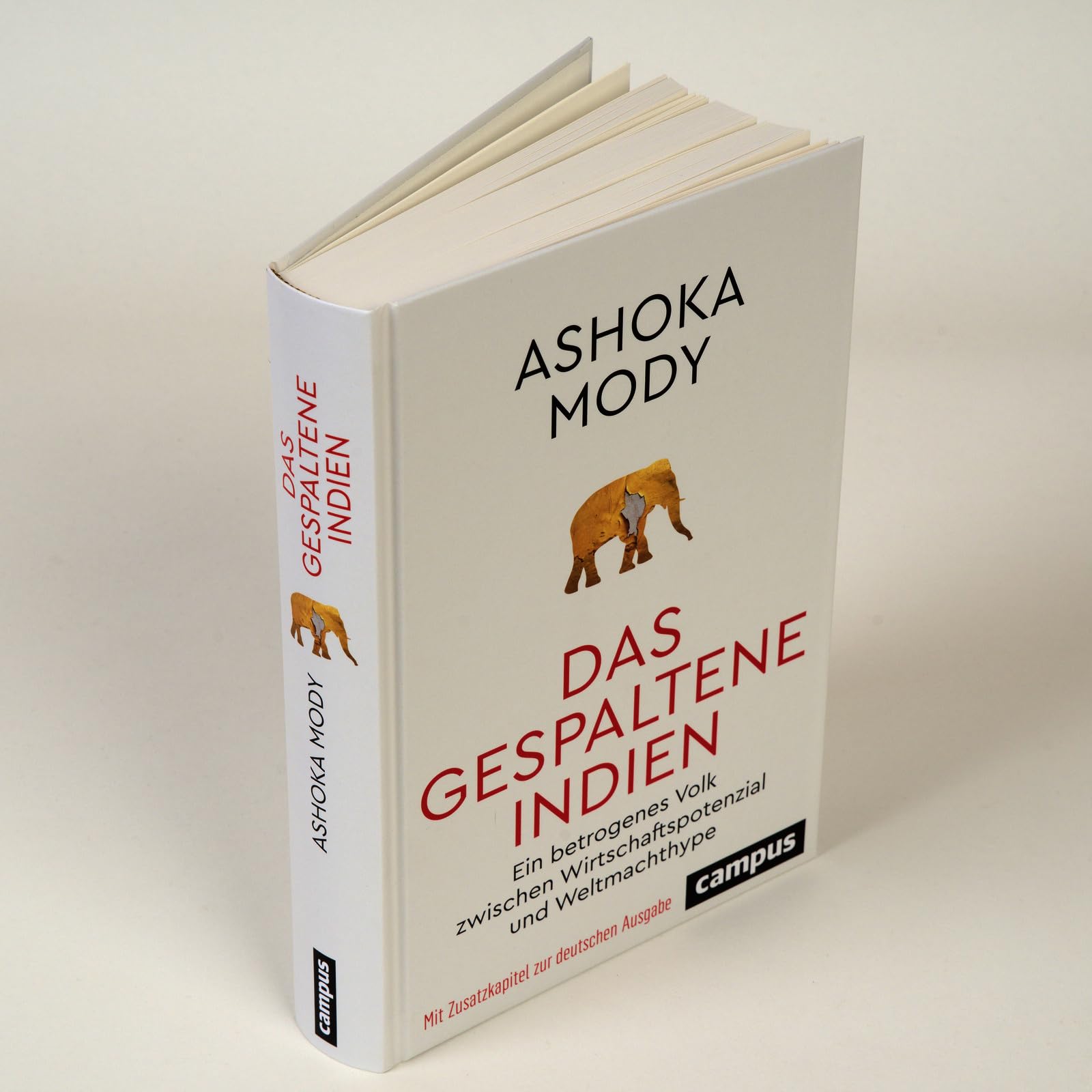 Das gespaltene Indien: Ein betrogenes Volk zwischen Wirtschaftspotenzial und Weltmachthype