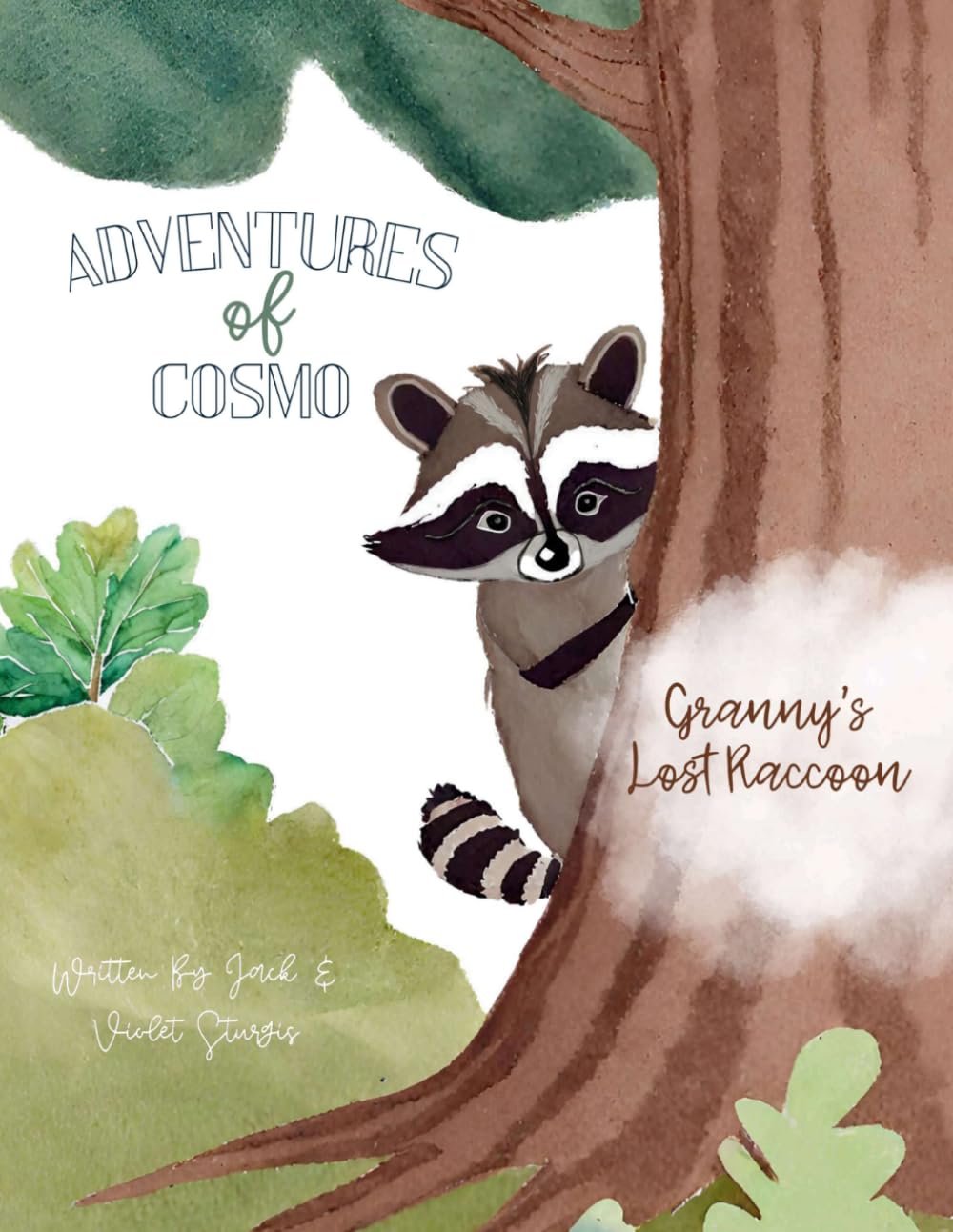 Adventures of Cosmo: Granny’s Lost Raccoon
