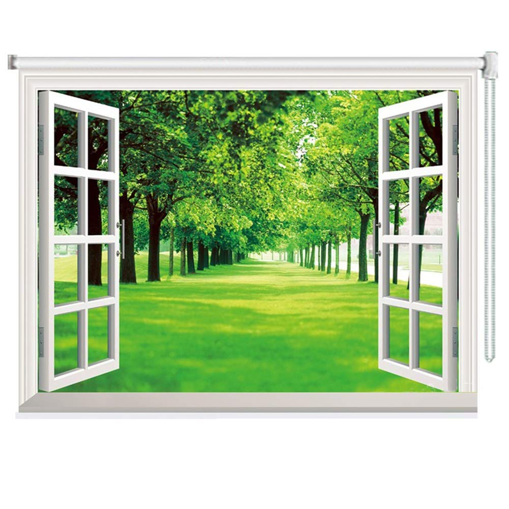 Tenda Oscurante A Rullo 3D Stereoscopico Paesaggio Finestra Tenda con Filo Isolato Termicamente Blinds Decorazione Protezione UV Schermo per Casa Ufficio Balcone Soggiorno,44 Taglie Gdming