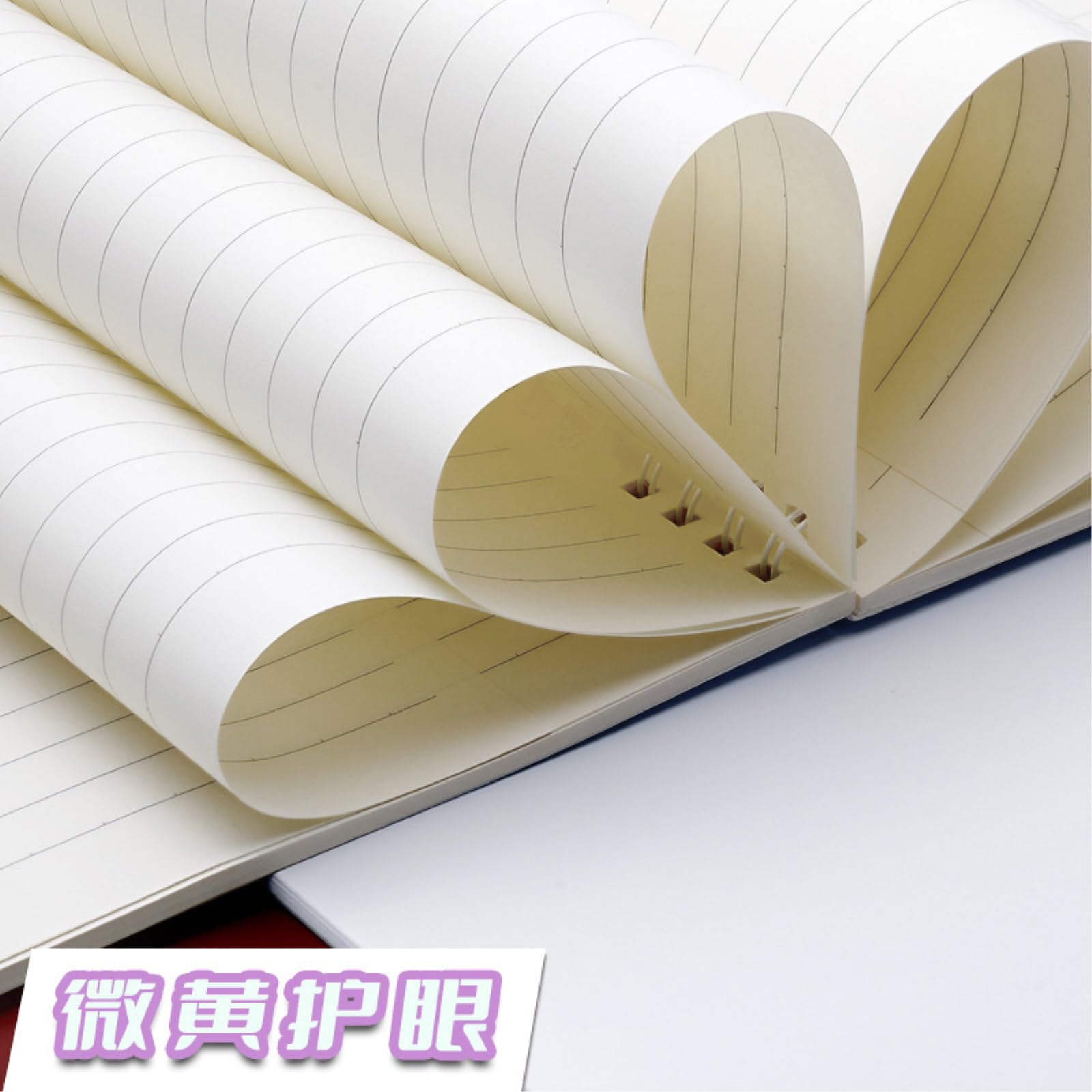 Lot de 4 carnets de notes à spirale B5 Muxi
