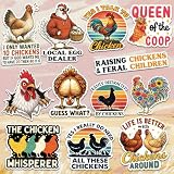 12pcs-3in Funny Chicken Stickers, Guess What Sticker, The Chicken Whisperer Sticker, Farm Chickens Stickers, Local Egg Dealer Waterproof Decal for Car Laptop Water Bottle Phone Notebook Egg Carton