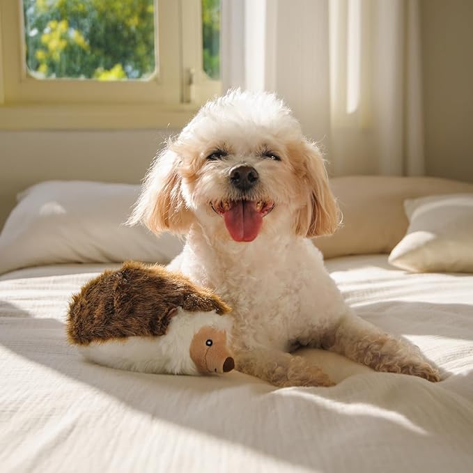 Juguete para Perros CHEWFFON Hedgehog de Peluche con Chirriador miniatura 6