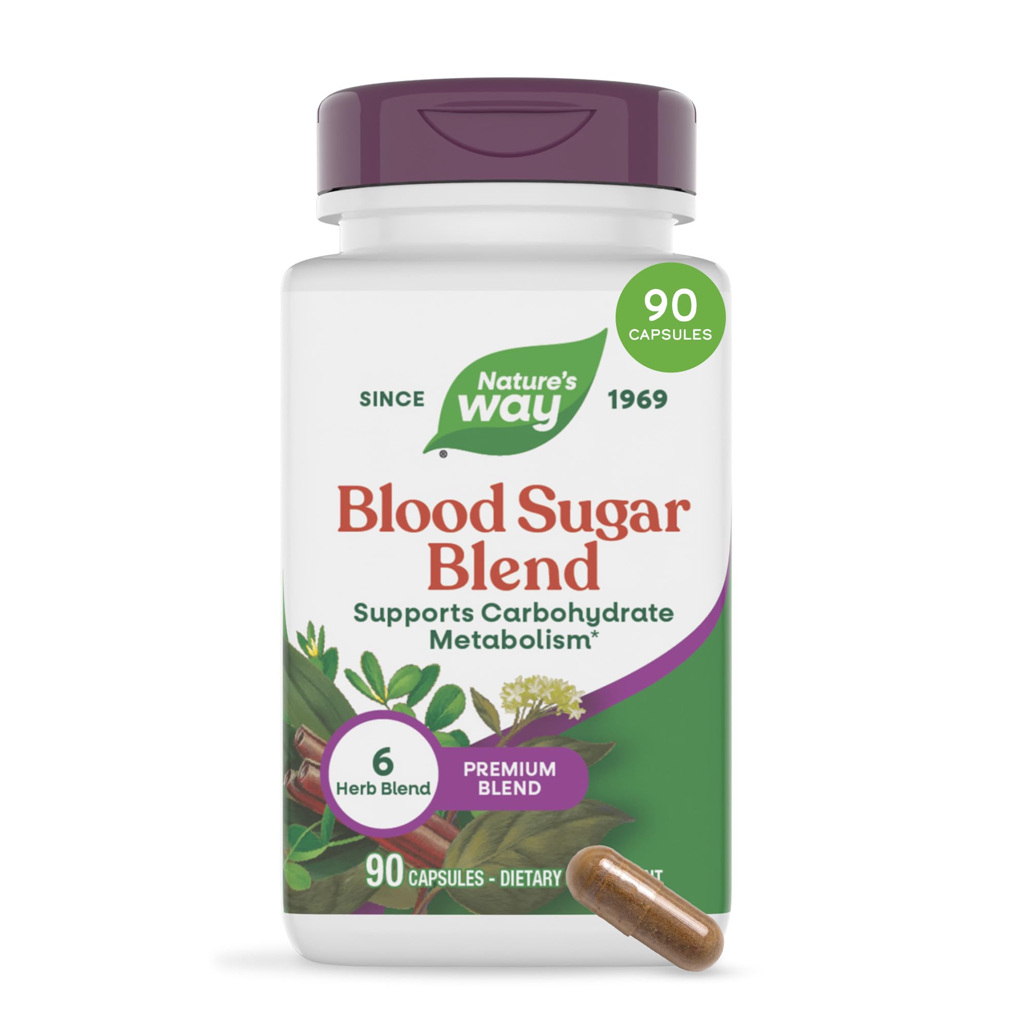 Nature's Way Blood Sugar Blend Capsules with Gymnema Extract, 90 ct