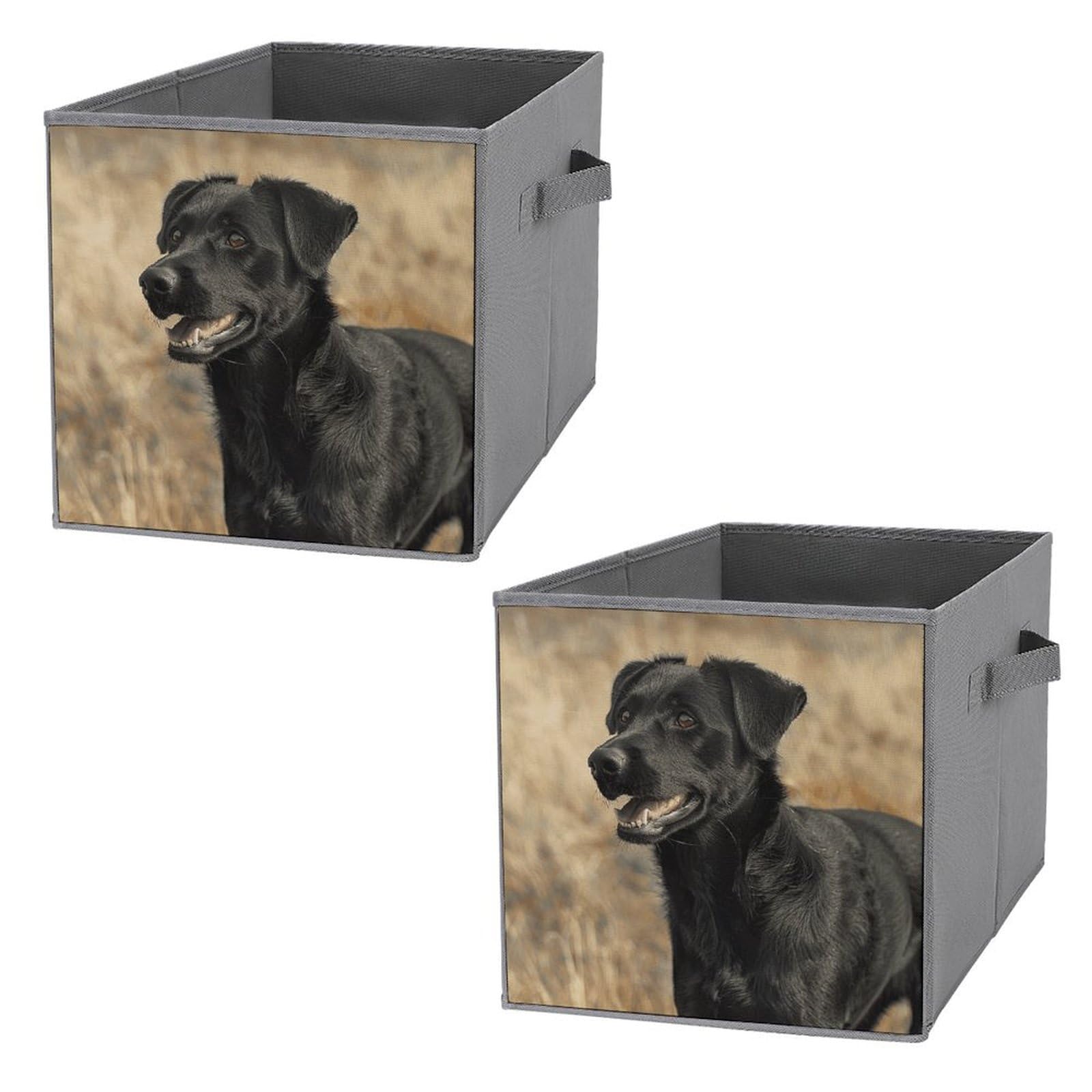 Panier de rangement pliable étagère boîte noire empilable