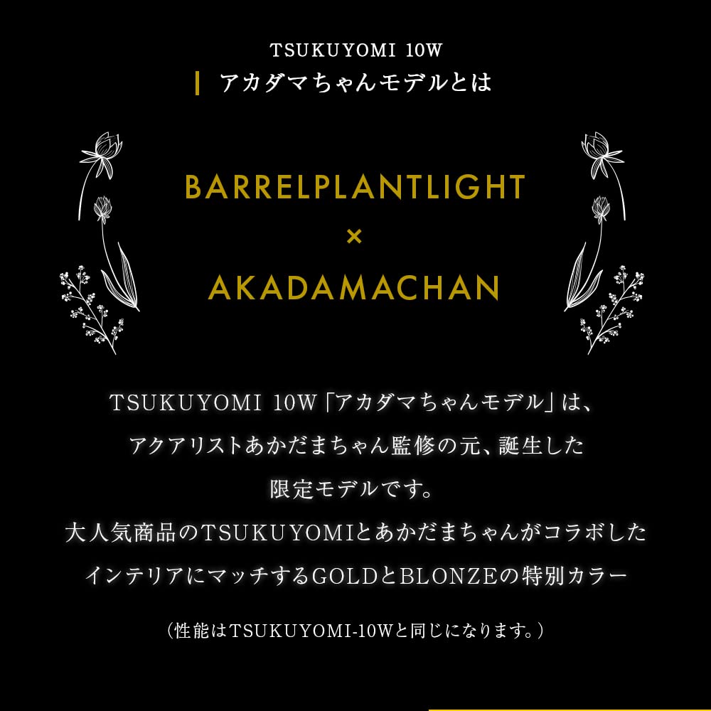 Amazon | 【BARREL公式】TSKUYOMI 10W AKADAMACHAN MODEL ゴールド