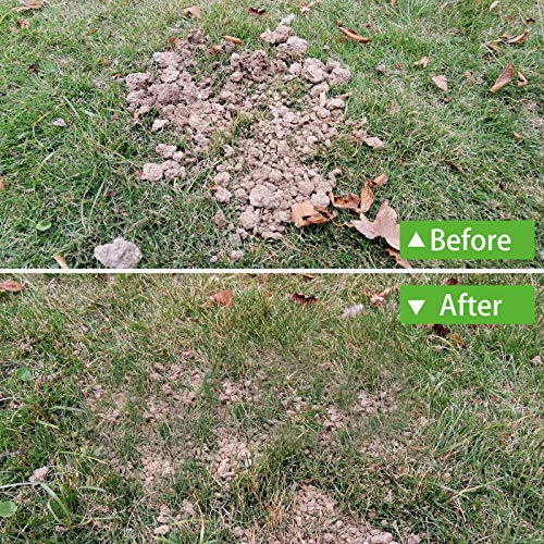 Scalebeard Lawn Leveling Rake, 6.5 FT Lawn Leveling Rake with Stainless Steel Pole,Level Soil or Dirt Ground Surfaces Easily, Suit for Garden Backyard Golf/Lawn（6.5 FT,17 X10In）