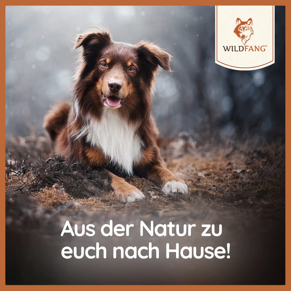 Wildfang® Rothirsch-Geweih Kauspielzeug – Hundespielzeug mit Lachs-Hirschgeweih, Zahnpflege für Hunde ohne Zusätze, natürliche Hirschgeweih Geweihe, ideal als Kauknochen Hund über 25 kg – 3er Pack