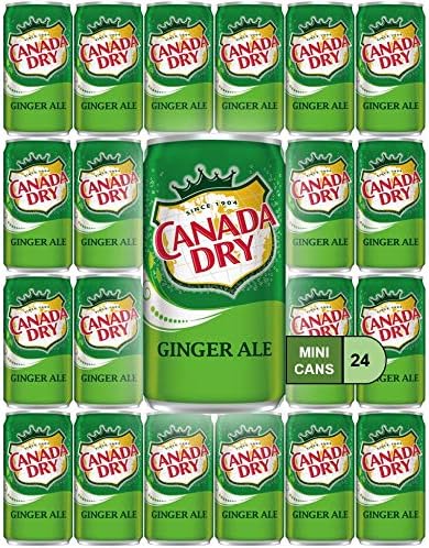 Canada Dry Ginger Ale Mini Soda Cans, 7.5 oz Soft Drinks Bulk Snacks Pack, Small Refrigerator & Snack Pantry Drink 24 Count Beverage Kitchen Supplies