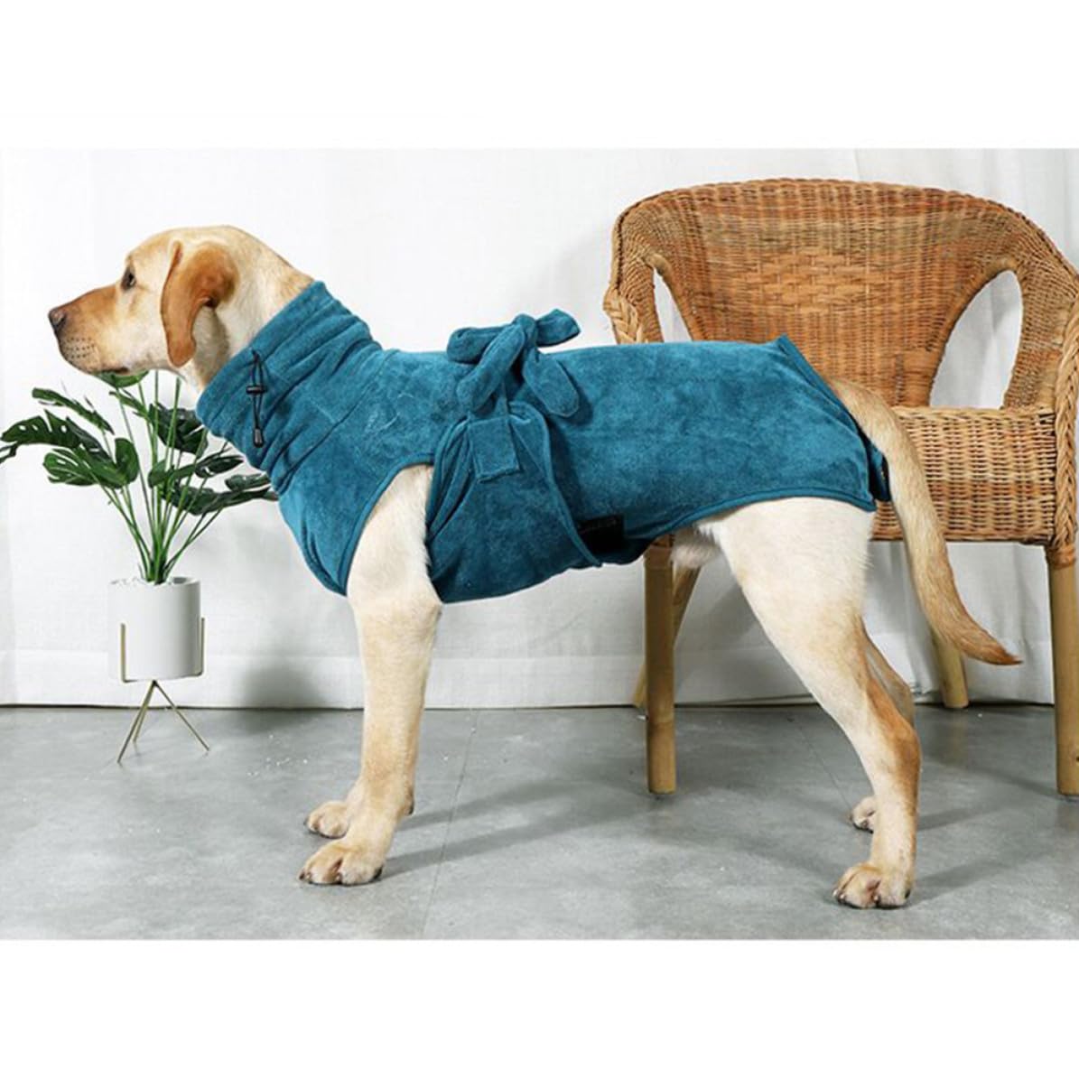 Hundebademantel im Herbst und Winter aus Nylon und Polyester Schnelltrocknender mit Verstellbarem Taillengürtel Hautfreundlich Warm für Hunde und Welpen