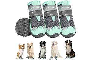 SlowTon Dog Booties: Versatile Paw Protection and Comfort for Canine Companions