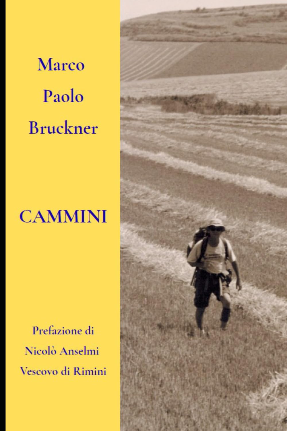 Cammini: LA STORIA DEI CAMMINI LE ANTICHE VIE DEI PELLEGRINI Cammini di Santiago di Compostela, Vie Francigene, Vie Romee, Cammini Francescani, Vie di ... FRONTIERA DEL TURISMO – IL TURISMO LENTO