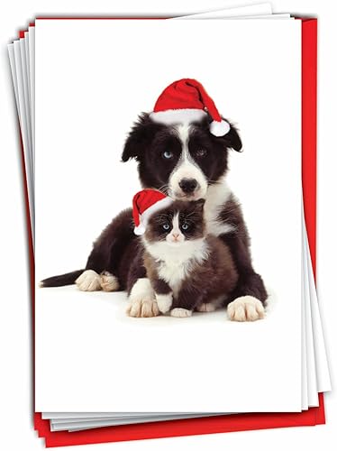 The Best Card Company - 12 tarjetas de Navidad para perros en caja (1 diseño, 12 tarjetas) - Lindos perros cachorros, juego de tarjetas a granel con