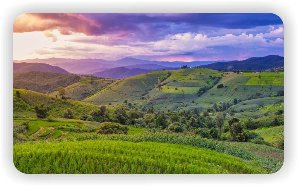 Image of Terraced Rice Field in Chiangmai Thailand - Desk Mat | Mouse Pad XL | Table Mat | Tablemat | Placemat | Place Mat