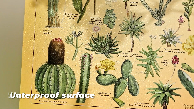 水墨画 花開富貴 木製フレーム付き 91dbV89J8CL._UF894,1000_QL80_.jpg