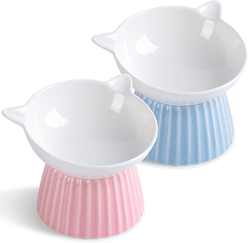 Cuenco elevado de cerámica para gatos, cuenco elevado inclinado anti vómitos para gatos de interior, apto para bigotes, comedero para mascotas para