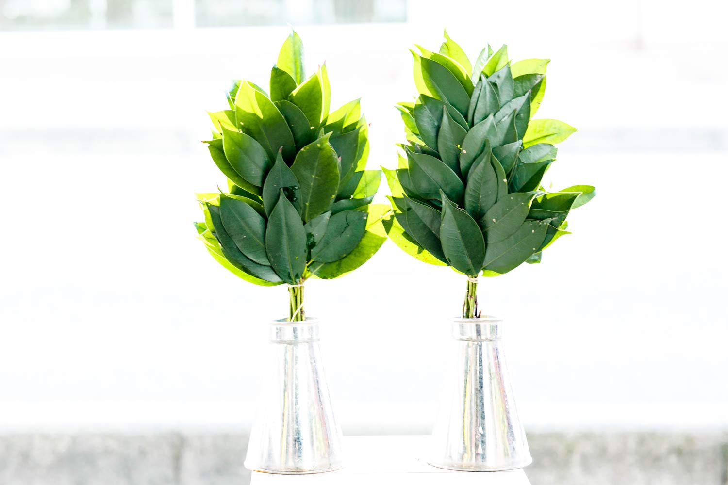 Amazon｜榊(一対二束) ヒサカキ 神棚(本榊(一対二束))｜榊 オンライン通販