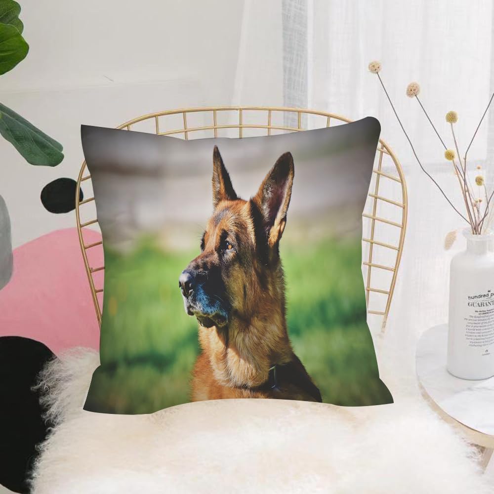 HYOSXW Cushion Cover,Throw Pillow Case Home Decorative for Living Room Bedroom Sofa Chair 16X16 Inch,German Shepherd. Added effect,Pillowcase 40X40cm