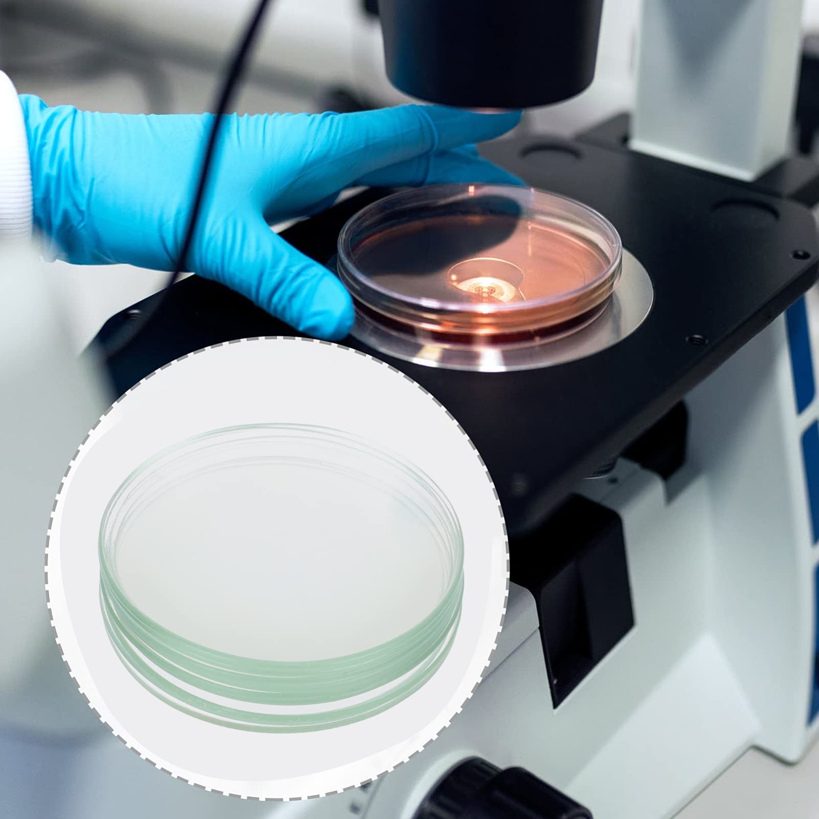 ULTECHNOVO 10pezzi Vetri Per Orologi Piatti Vetri Trasparenti Per Orologi Scolastici Da Laboratorio