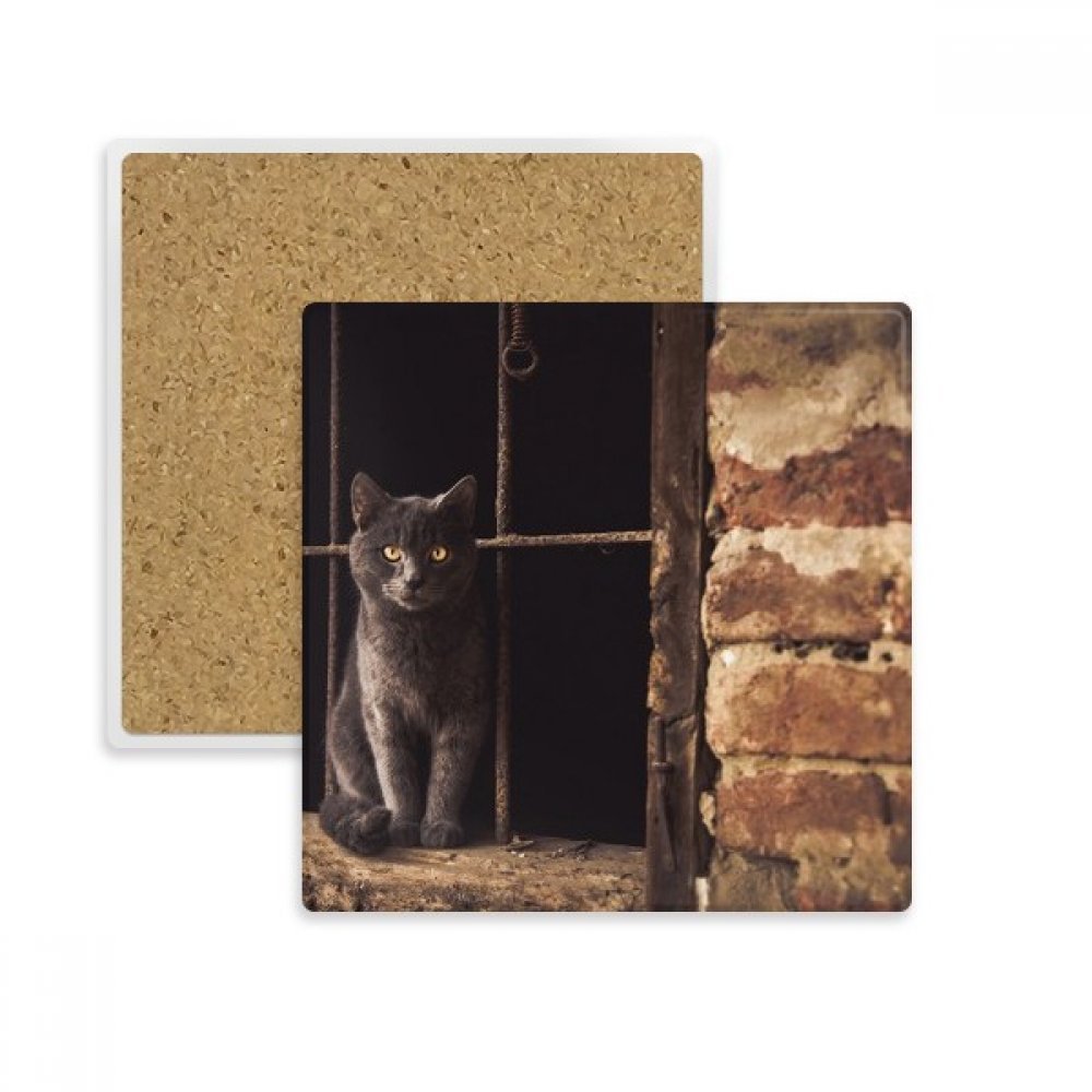 Repose-tasse chat pierre absorbante dessous de verre de table