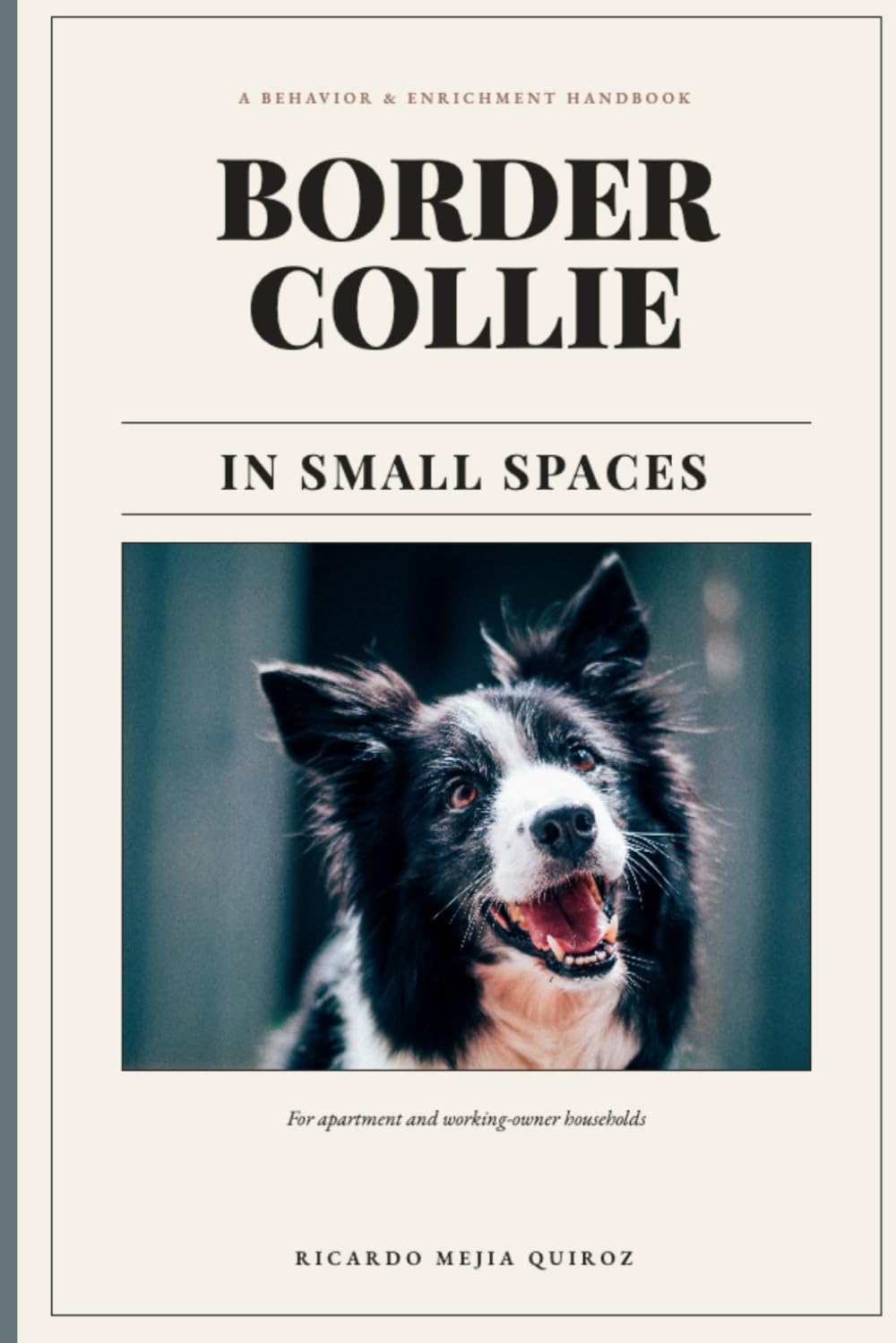 BORDER COLLIE IN SMALL SPACES: A Behavior and Enrichment Handbook for Apartment and Working-Owner Households