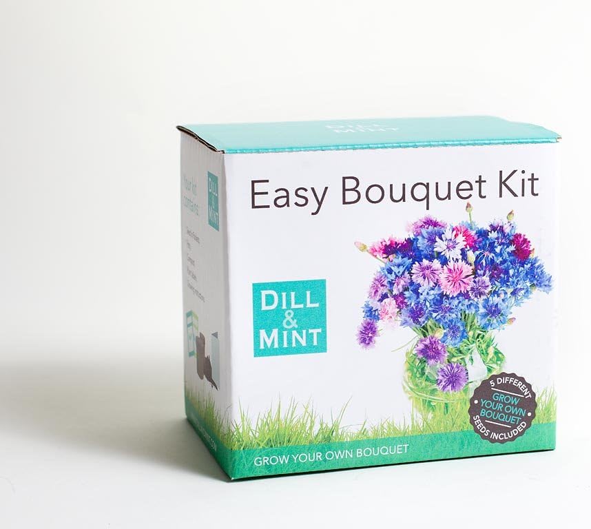 Easy Bouquet Kit - Grow Your Own Cut Flowers. Complete Kit with Compost, Instructions and Seeds: Delphinium, Cornflower, Honesty, Daisy and Rudbeckia