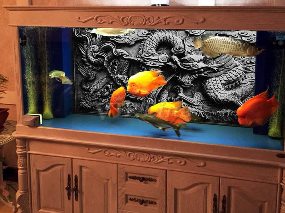 Toile de fond en relief pour aquarium en PVC Motif dragon 213 x 76 cm