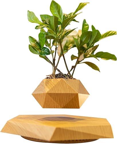 Miniatura 10 de PeacePlanet Maceta flotante, florero, regalo, levita y gira en el aire, luz nocturna, control táctil, regalo para novia, mamá, cumpleaños,