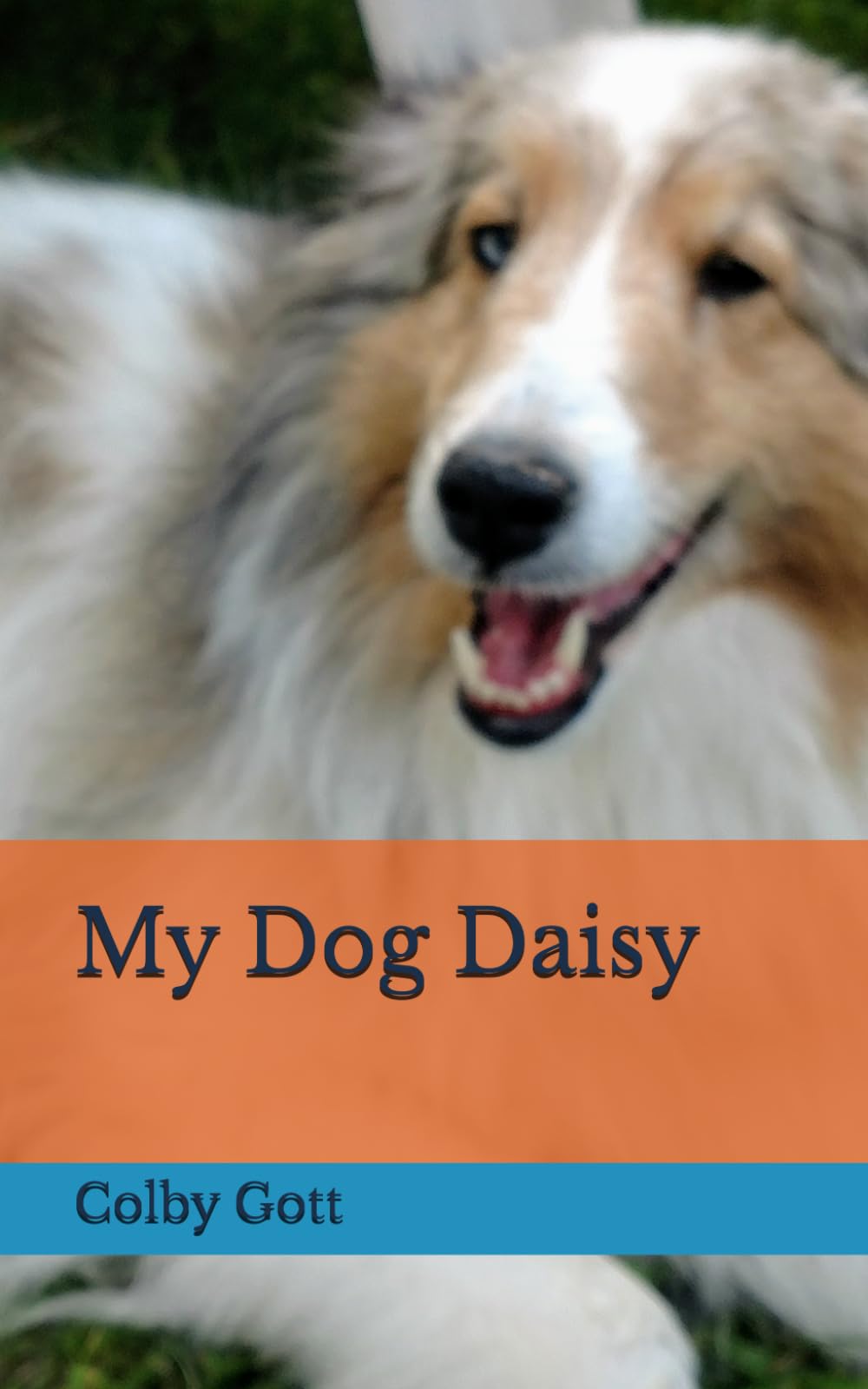 My Dog Daisy