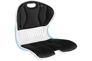 Chair Posture - Back support chair for lumbar support and ergonomic comfort.