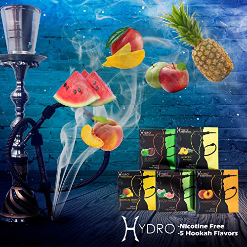 Hookah Coals And Flavors Set, 100 Woodbine Charcoal Discs And 5 Hydro Herbal Hookah Accessories Set #TOP3