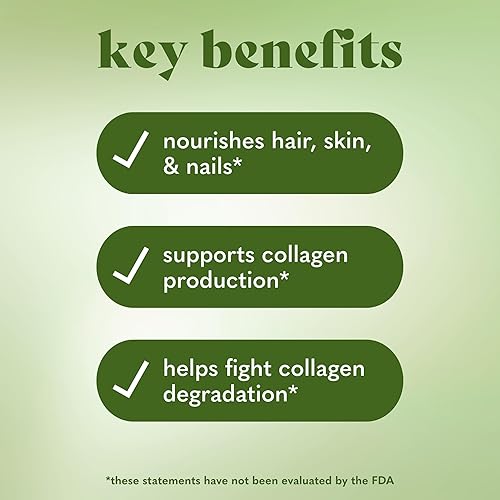 Miniatura 5 de Matcha Beauty - Mezcla de bebida vegana de colágeno potenciador: bebida vegana cremosa con soporte de colágeno a base de plantas, sabor matcha, 1