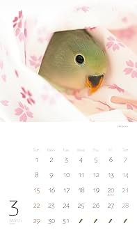 空くんのママ カレン ホイプティング 色とりどりの鳥 空くんのママ カレン ホイプティング 色とりどりの鳥 カレン